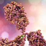 Memo Therapeutics Antibody