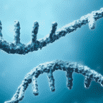 mRNA, biotech