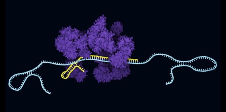 CRISPR patent Europe