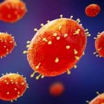 monkeypox vaccine smallpox