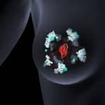 The red cancer cell uses the white protein Memo1 to bind the green copper ions.